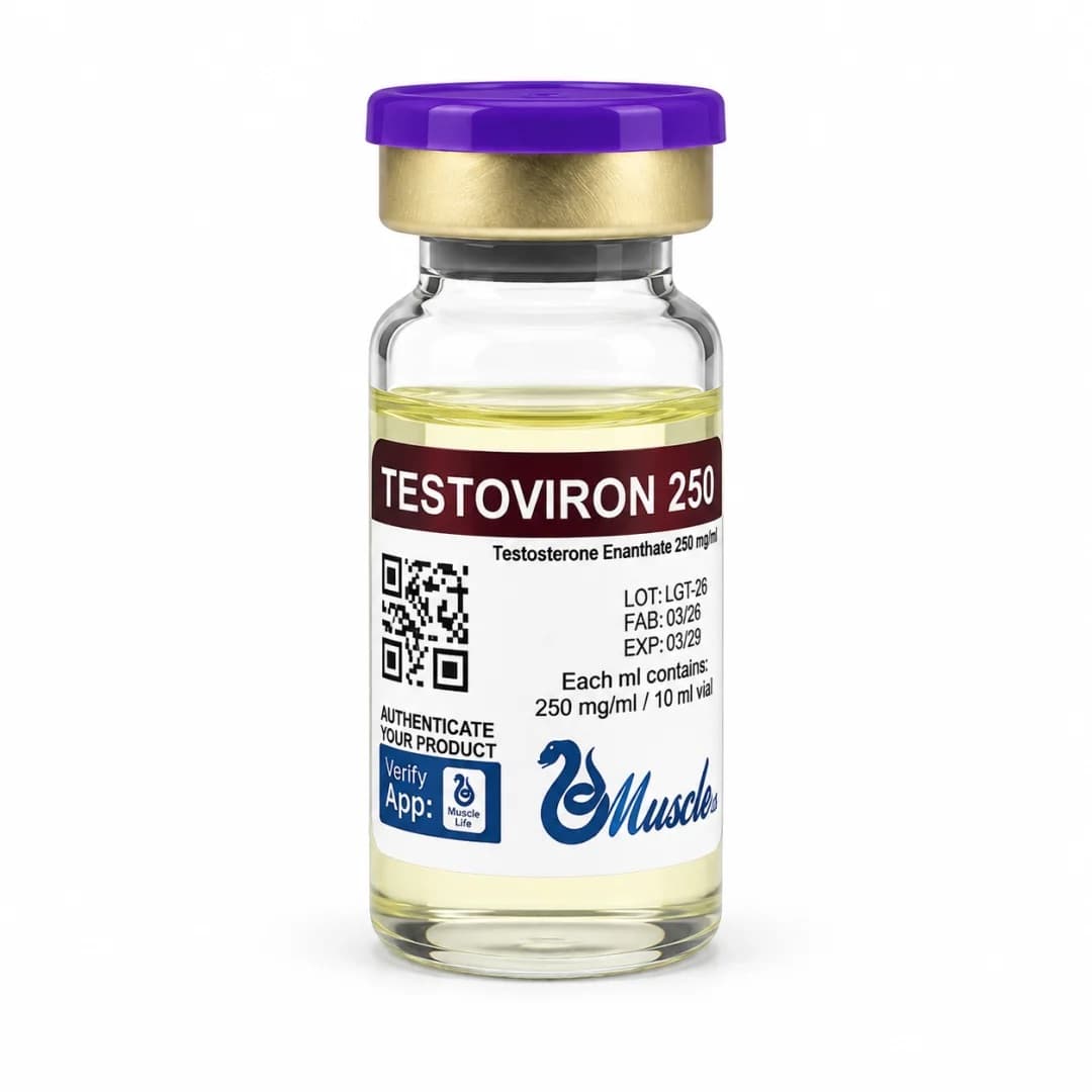 Muscle Testoviron 250mg — 10ml – Anabolizantes