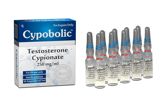 Cypobolic Cipionato de Testosterona 250mg/ml – 10ml