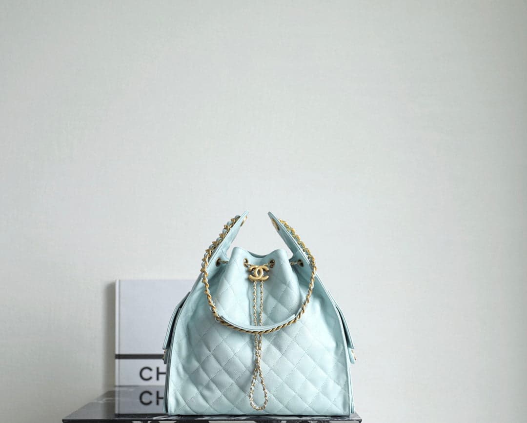 Bolsa CHANEL 25 Large