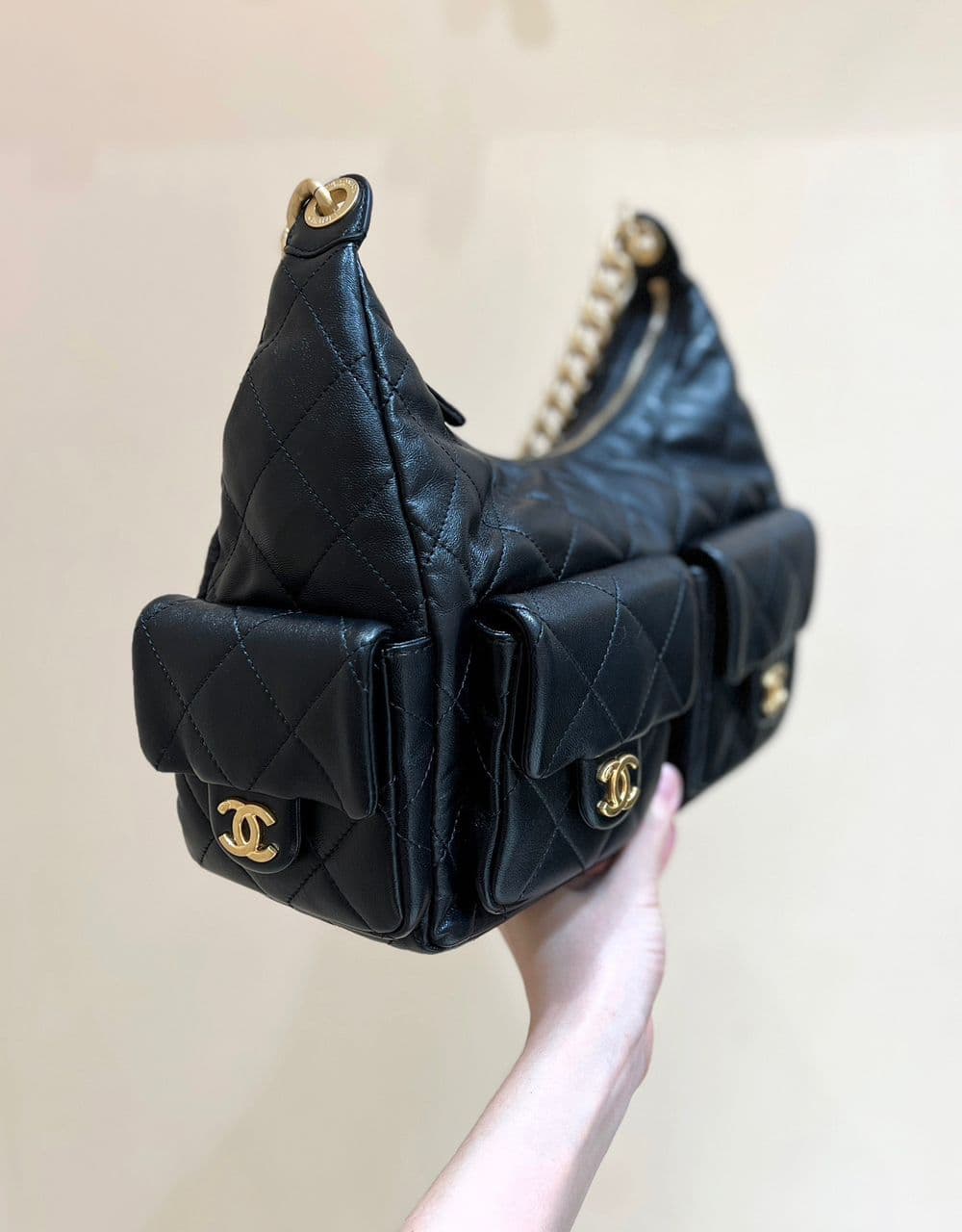 Chanel Hobo Cruise 25