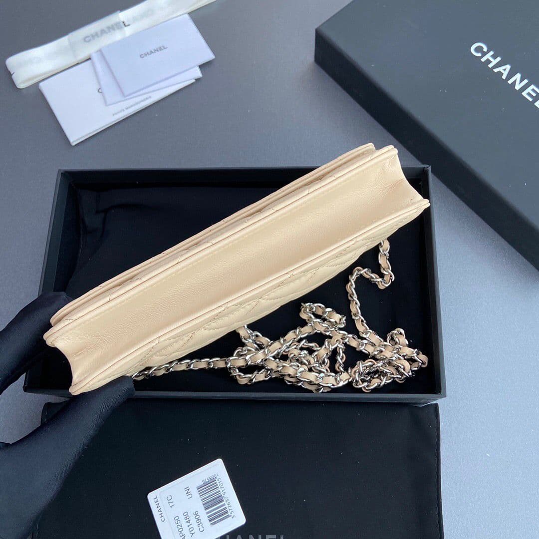 Chanel Wallet On Chain Beige Silver Hardware .