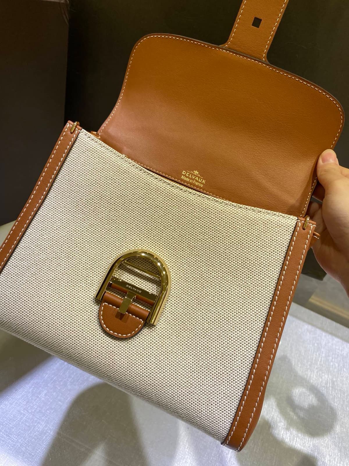 Delvaux Brillant Mini Leather Bag Off White / Caramelo