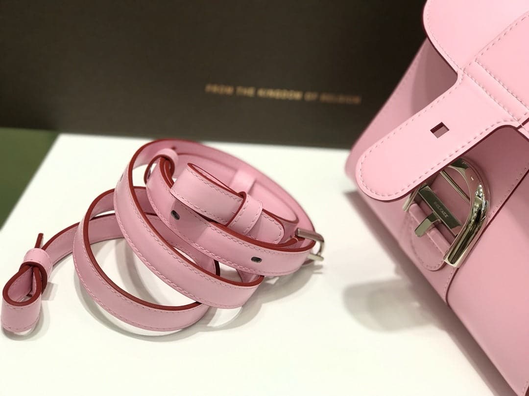 Delvaux Brillant Mini Leather Bag Pink Ferragens Prata