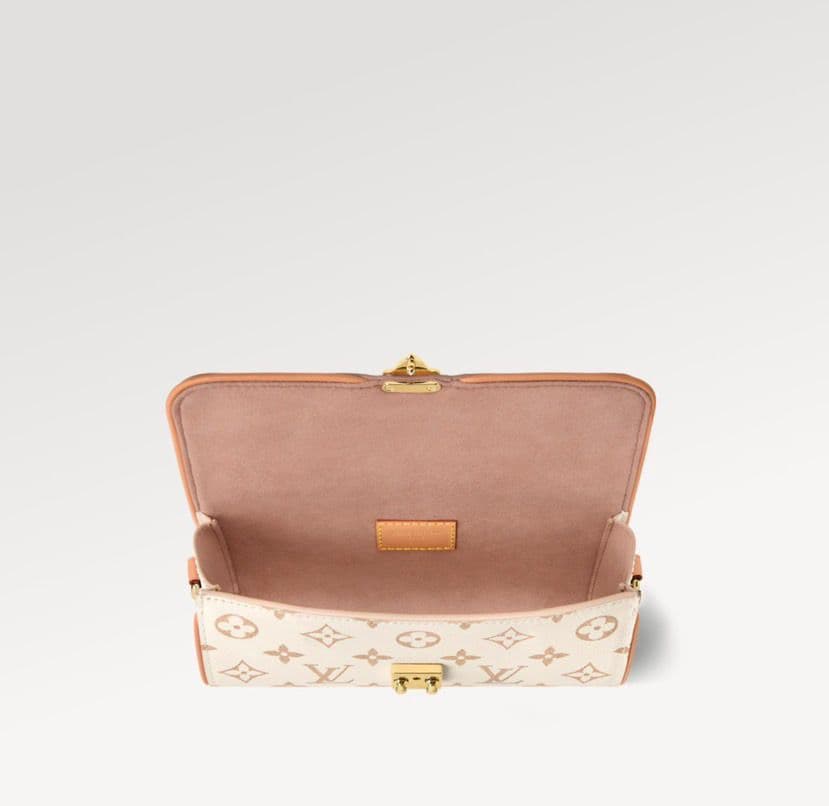 Louis Vuitton Pochette Camille