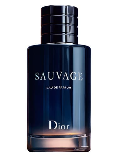 Dior Sauvage EDP 100ml – Perfumes