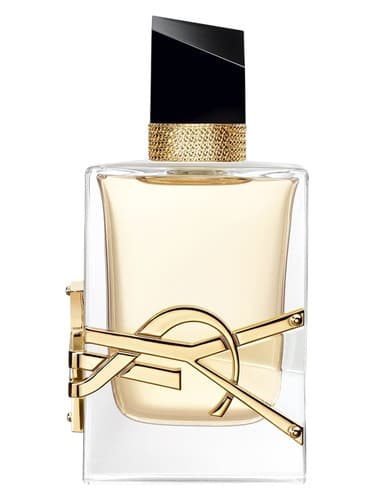 YSL Libre EDP 100ml – Perfumes